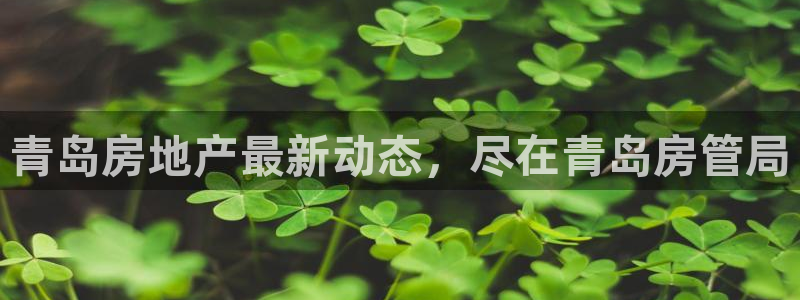 永利房地产有限公司怎么样