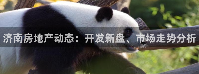 永利皮带型号说明书