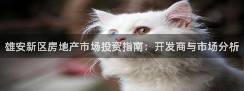 永利家具厂怎么样