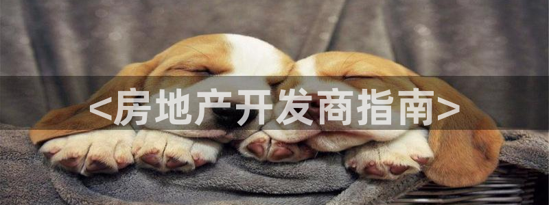 永利能源开发有限公司