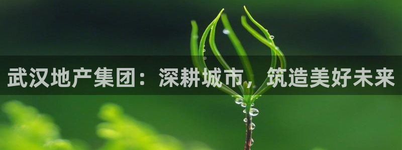 永利会员卡有什么用