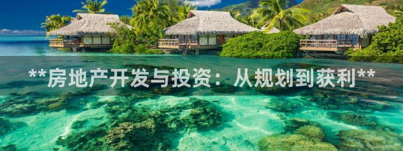 永利股份做什么