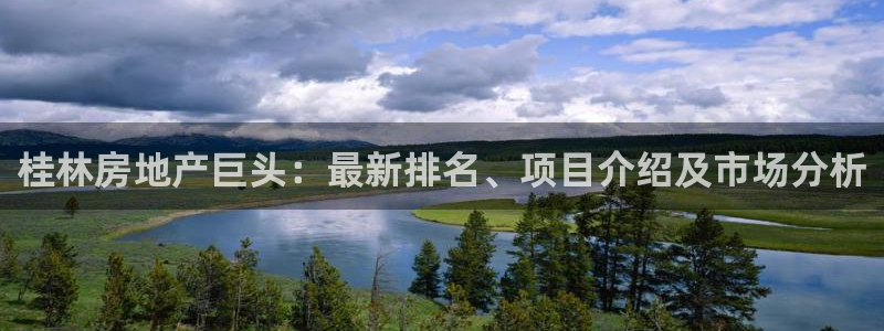 永利宝高管