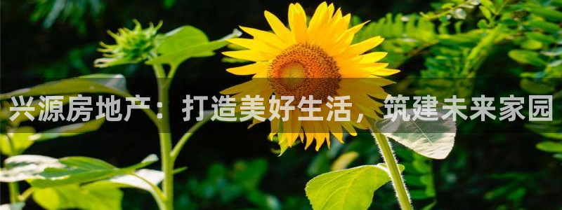 网络永利ly79,cn