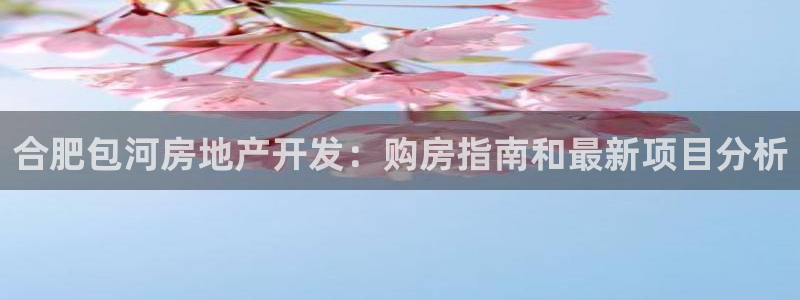 永利地产工程有限公司