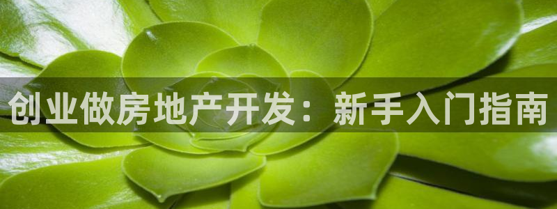 永利皮具厂东莞