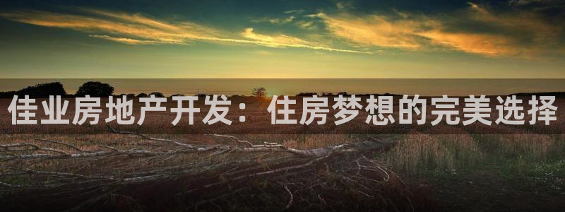 永利皮带