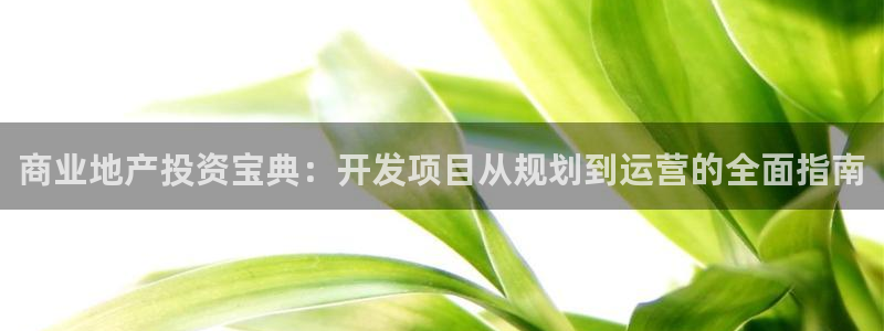 永利皮带官网价格查询表