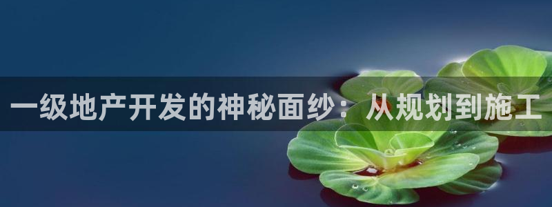 永利网9900777邀请码