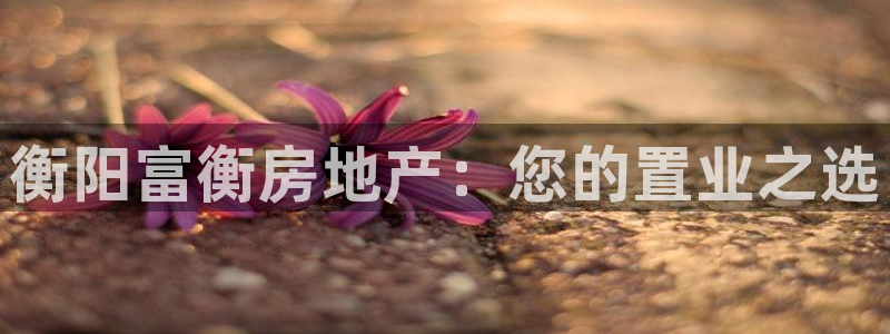 永利金控控股有限公司