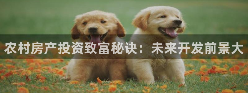 永利表行为什么那么便宜