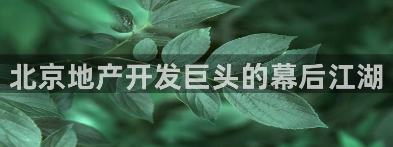 永利 老板