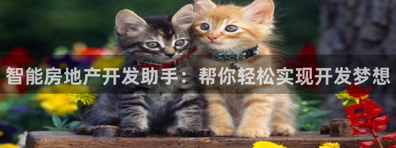 永利精工董事长