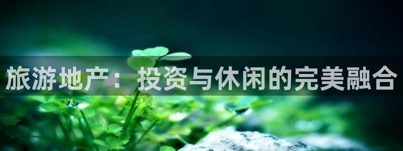 永利皮带报价