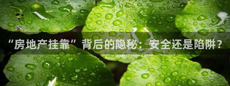永利制带合作的公司
