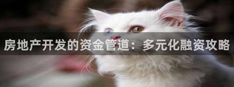 永利制带有限公司