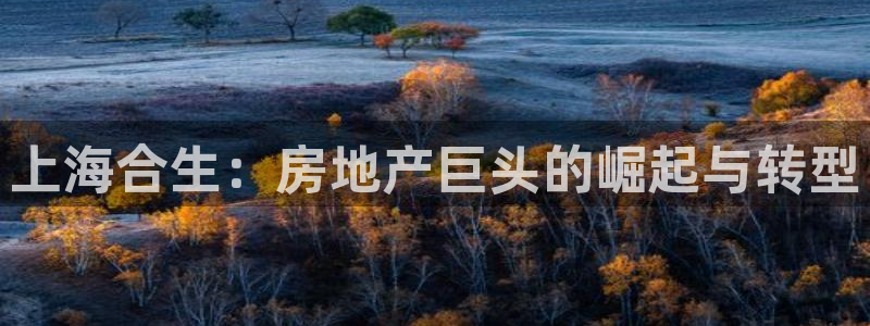 永利置业