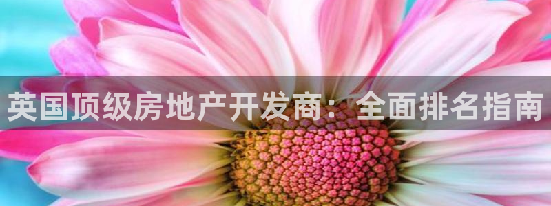 永利输送带