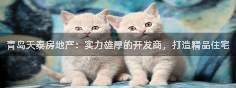 永利制衣