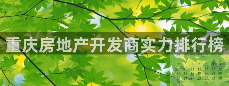 永利官网正网