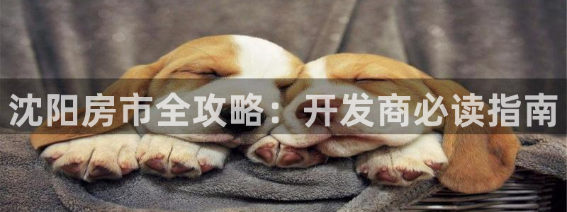 永利链条