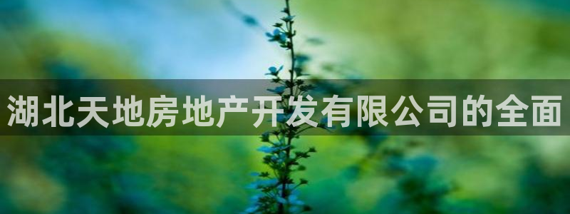 永利官网中文