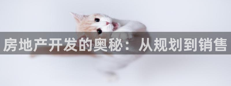 永利皮带型号说明