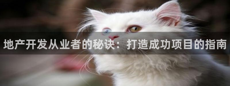 永利皮具lv工厂