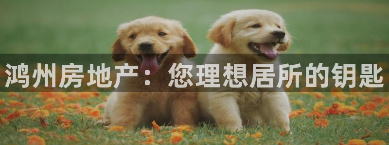 永利纺织