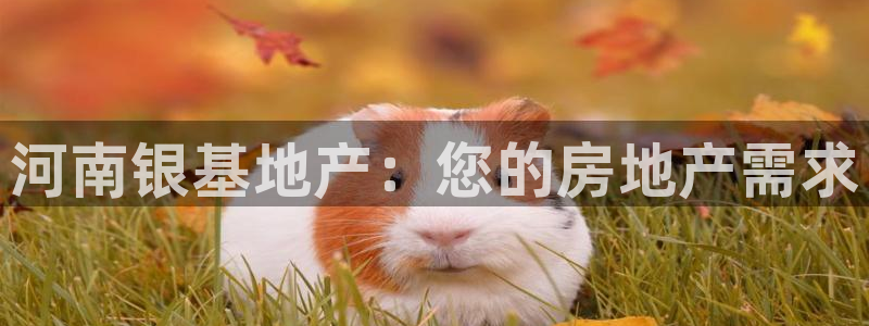 永利皮具厂东莞