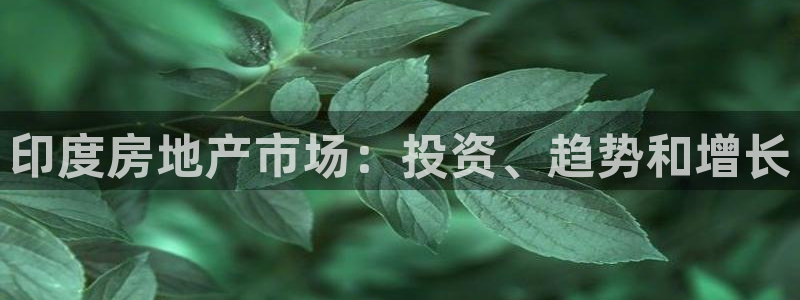 永利表行是正品吗