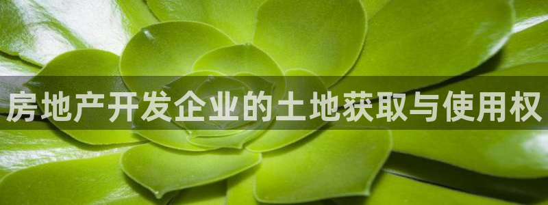 永利汇团购