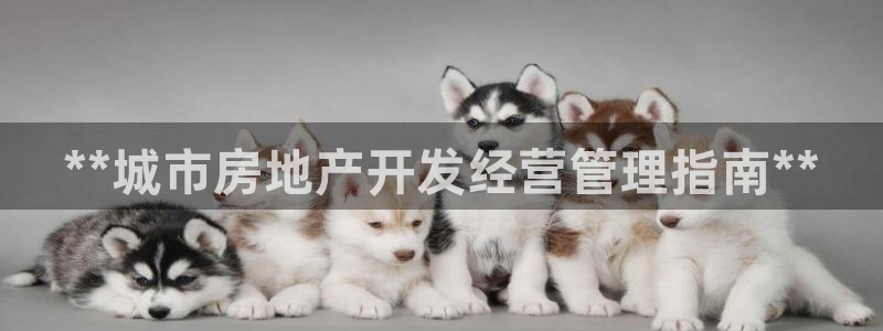 永利二维码推广