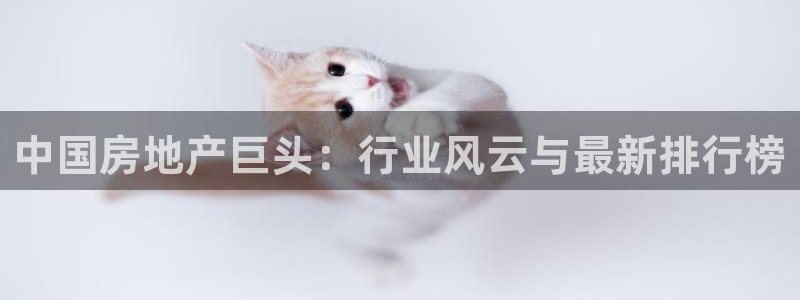 永利能源开发有限公司