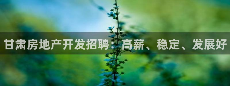 永利网是干什么的,能挣到钱吗?