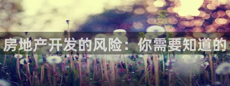 永利房地产有限公司董事长是谁