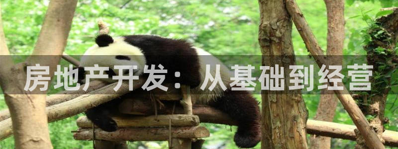 永利中国的老板是谁