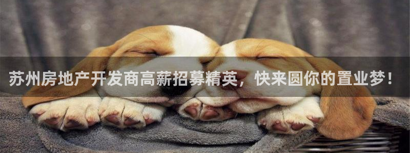永利皮带官网