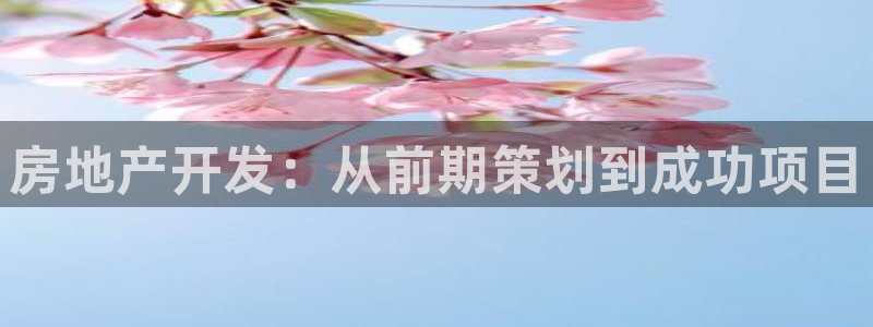 永利官网总站入口网址