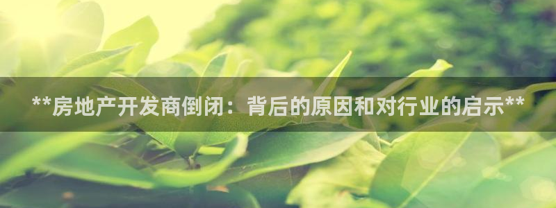 永利置业
