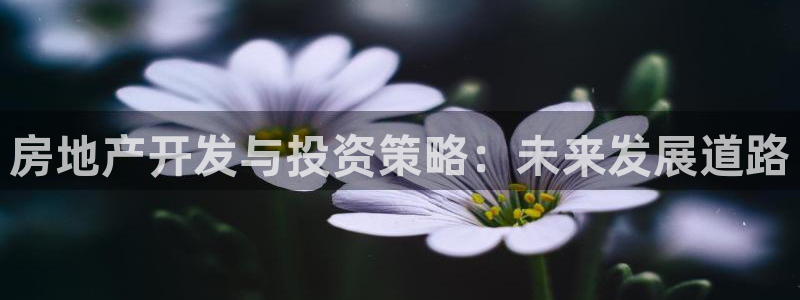 永利酒店老板是谁
