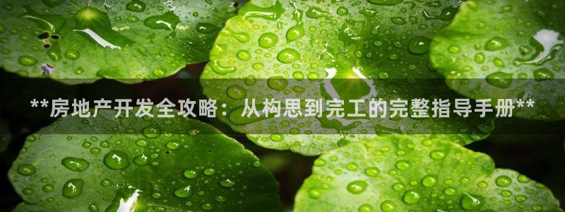 永利地产