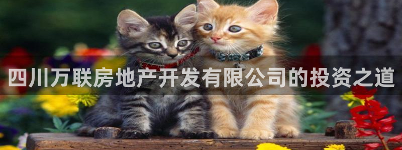 永利创始人