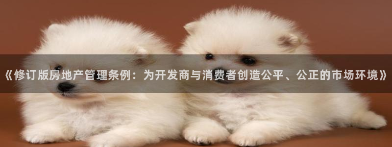 永利制带