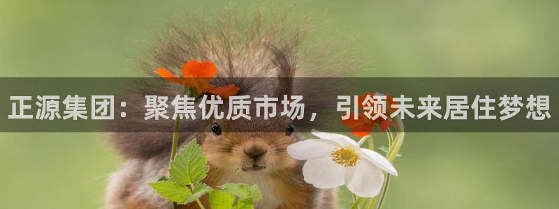 永利集团简介概况