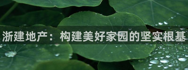 鄂州永利房地产怎么样