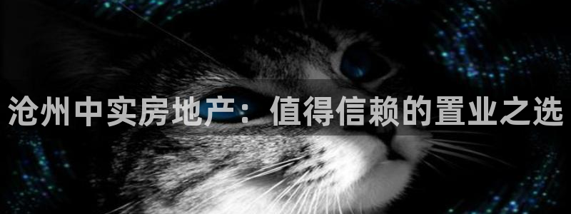 滨州永利集团