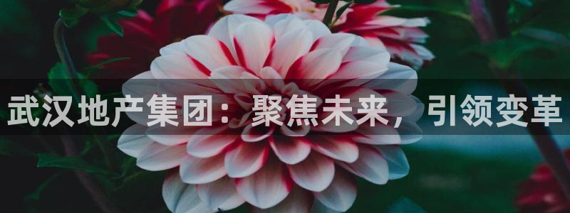 永利汇茶具官网