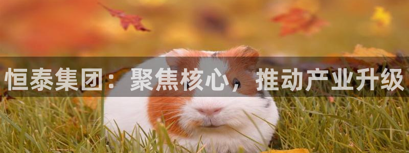 永利是做什么的