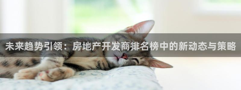 永利骗局